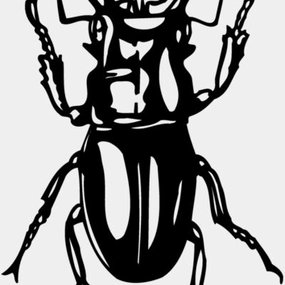EARWIG Thumbnail