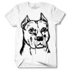 Men's Tshirt Thumbnail