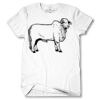 Men's Tshirt Thumbnail