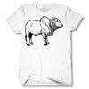 Men's Tshirt Thumbnail