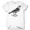 Men's Tshirt Thumbnail