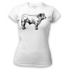 Women's Tshirt Thumbnail