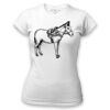Women's Tshirt Thumbnail