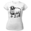 Women's Tshirt Thumbnail