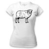 Women's Tshirt Thumbnail