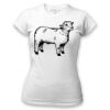 Women's Tshirt Thumbnail