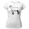 Women's Tshirt Thumbnail
