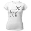 Women's Tshirt Thumbnail