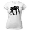 Women's Tshirt Thumbnail