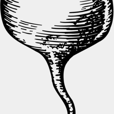 Vegetables Thumbnail